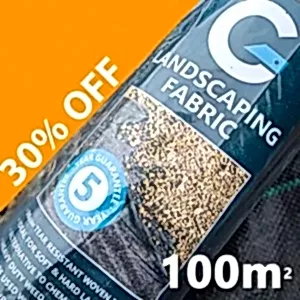 1x100 sale