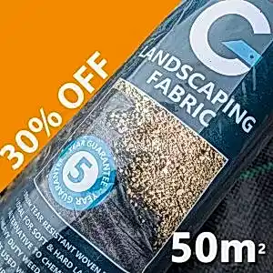 1x50 sale