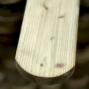 Planed Round Top Fencing Palings